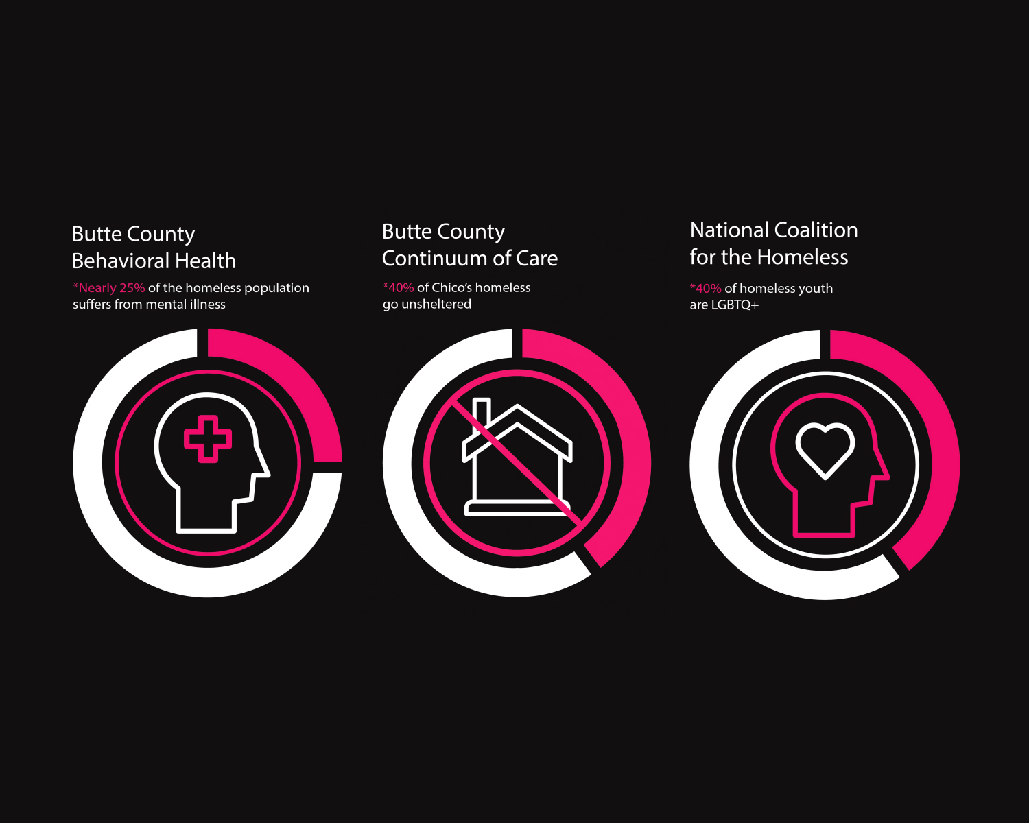 Data Visualizations